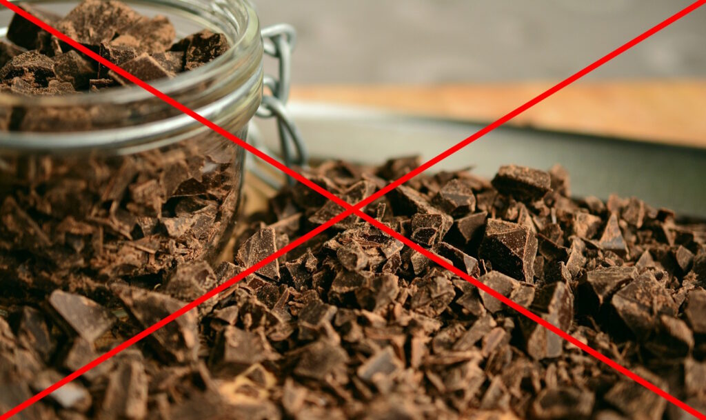 Das Foto zeigt Schokolade, die der Wellensittich nicht fressen darf