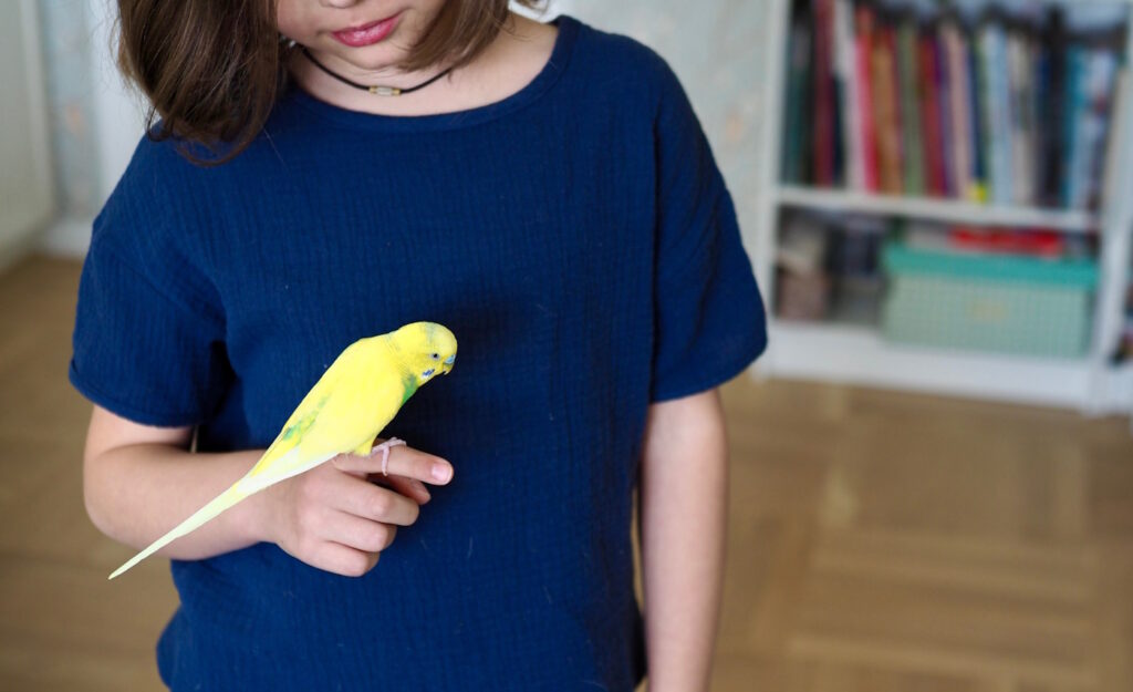 Das Foto zeigt ein Kind, das einen Wellensittich auf dem Arm hält