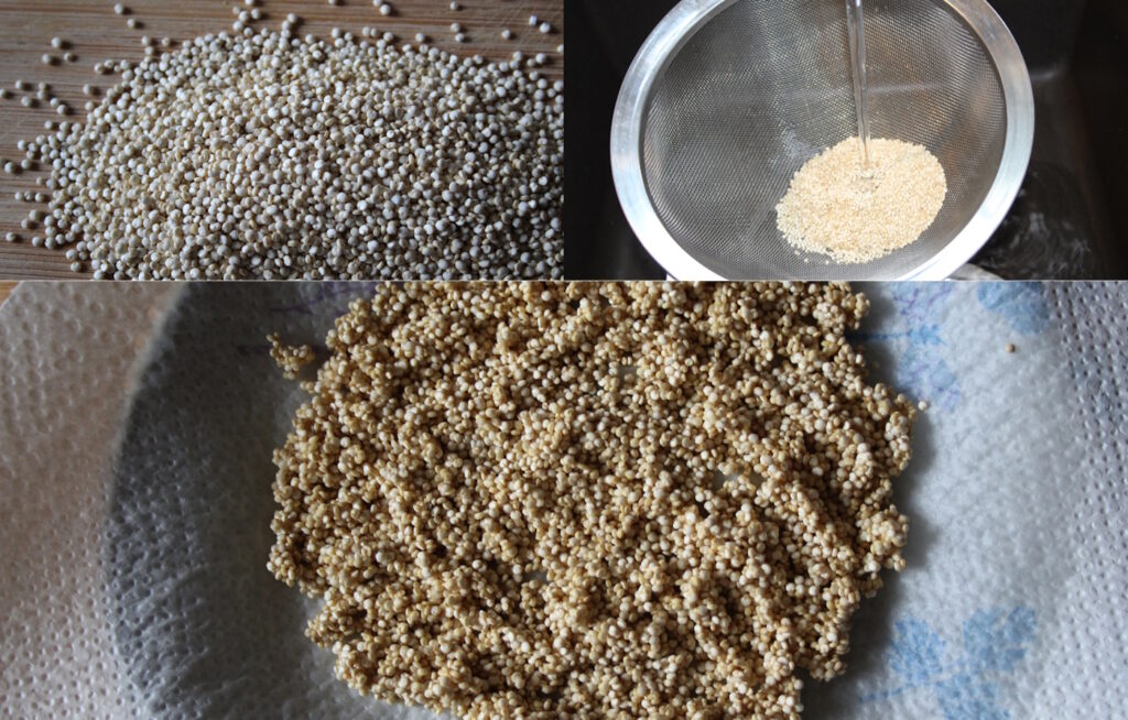Das Foto zeigt den Ablauf, wie man Quinoa zum Keimen bringt