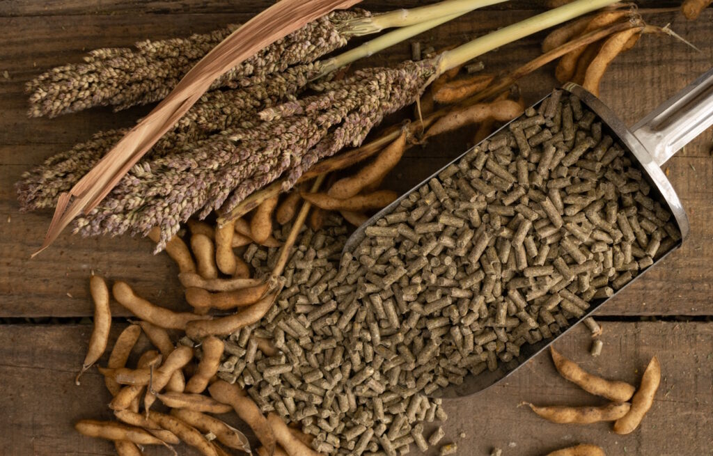 Das Foto zeigt Extrudate f&uuml;r den Vogel