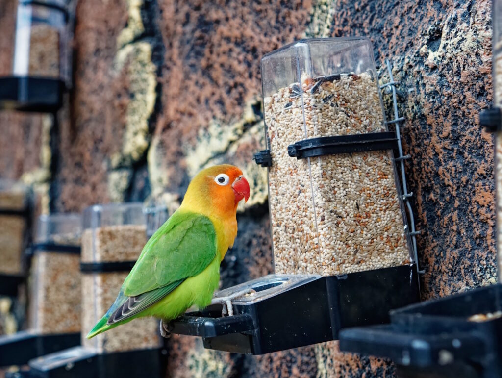 Das Foto zeigt einen Futterautomat