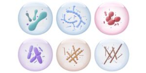 Das Foto zeigt eine Übersicht über Probiotikastämme