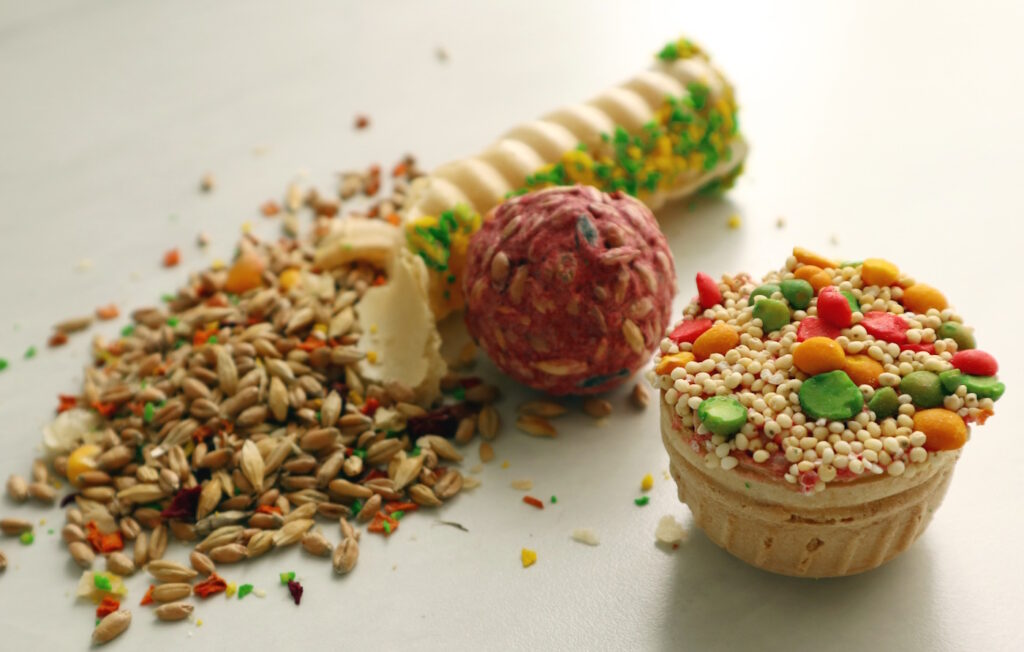 Das Foto zeigt selbstgemachte Snacks für den Wellensittich